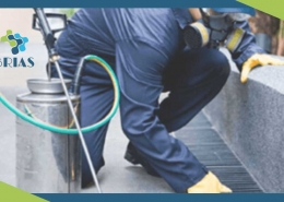 desratizacion - brias