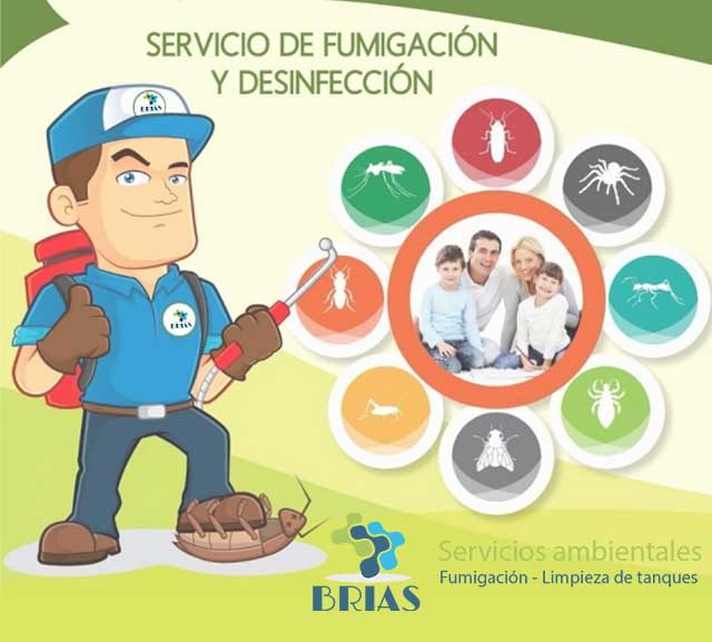 Servicios de Fumigación BRIAS